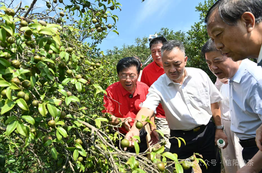 3857474283268979 image.png