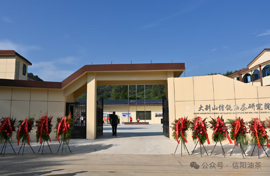 190937030756838 image.png